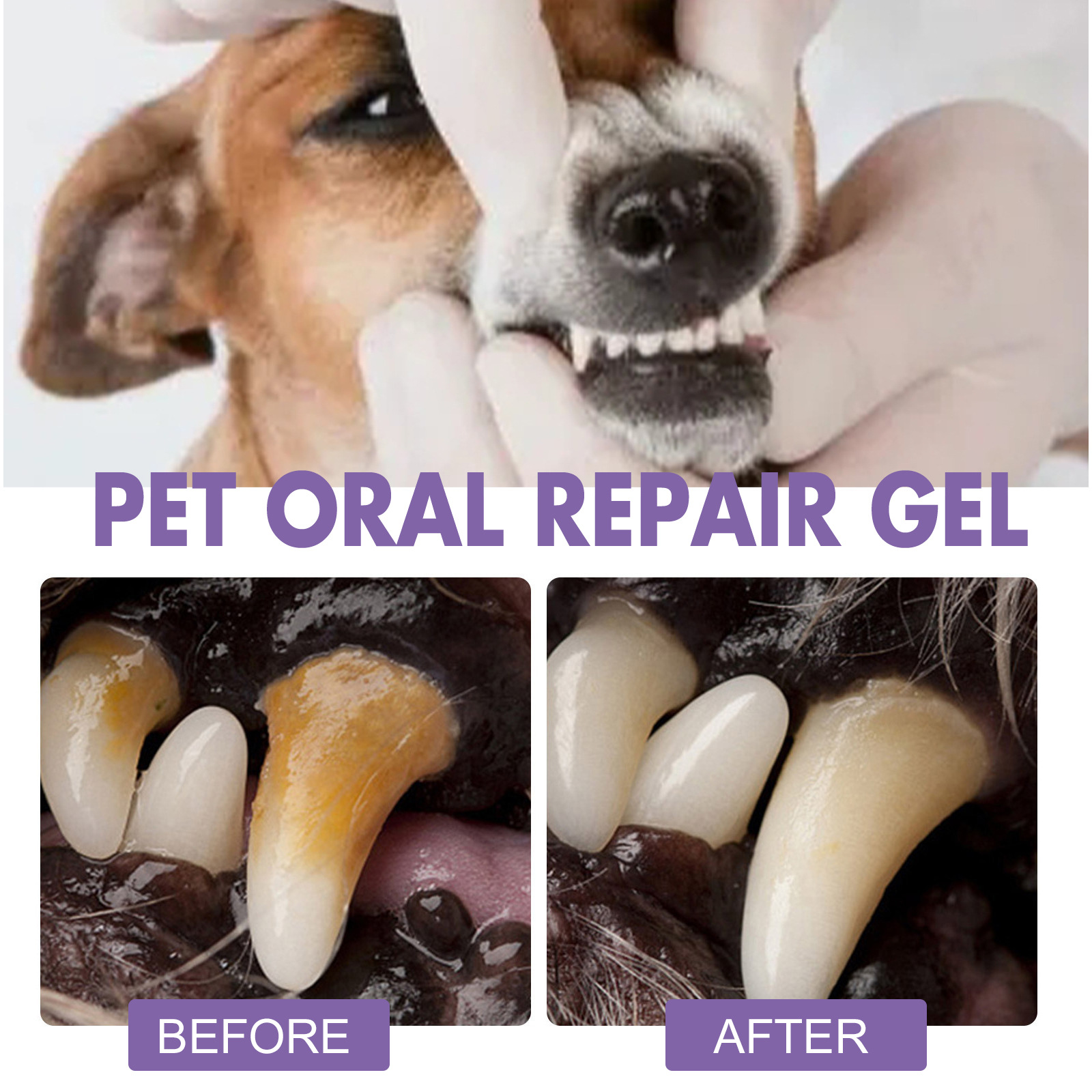 Pet Oral Repair Gel Puppy Tart - Teeth Whitening Mouthwash 评论和价格