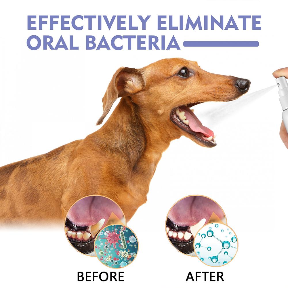 Pet Oral Cleaning Spray Mouth  - Whitening Mouthwash 评论和价格