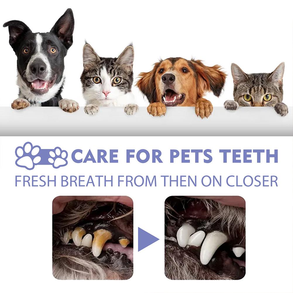 Pet Oral Cleaning Spray Mouth  - Whitening Mouthwash 评论和价格